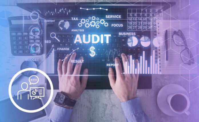 Audit Management Software